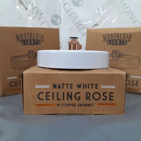 BOXED NOSTALGIA LIGHTS SET OF 10 CEILING ROSE IN MATTE WHITE W.COPPER GROMMET