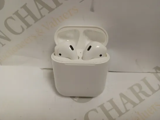 TRUE WIRELESS EARBUDS - WHITE