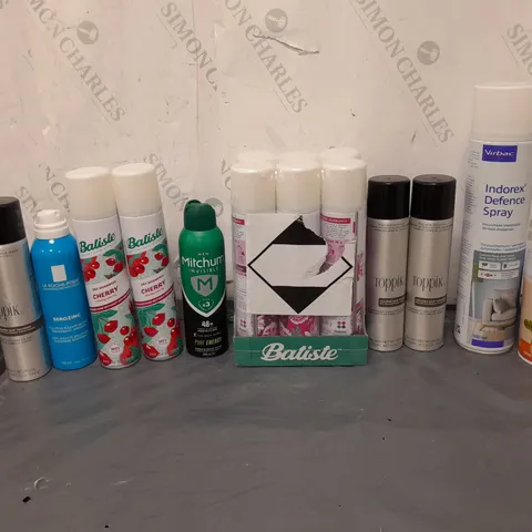 APPROXIMATELY 12 ASSORTED AEROSOLS TO INCLUDE BOSS DEODRANT, DRY SHAMPOO, AND COLOURED HAIR THICKENER ETC.