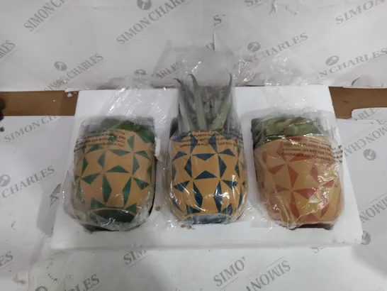 BOXED SET OF 3 FAUX SUCCULENT IN CERAMIC MOSAIC POTS 