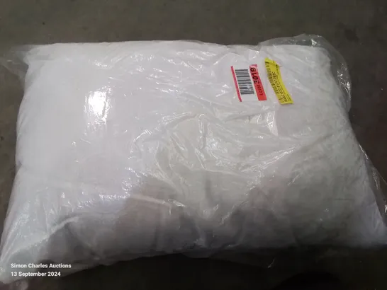 BAGGED SET OF 2 SUPPORT PILLOWS 