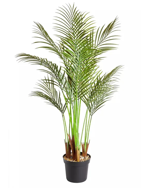 PHOENIX PALM ARTIFICIAL PLANT IN POT