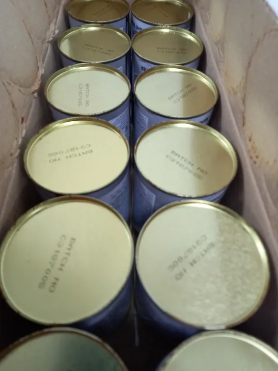 BOX OF 24 METALLIC PAINT IN BRIGHT SILVER