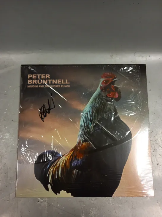 PETER BRUNTNELL HOUDINI AND THE SUCKER PUNCH SIGNED VINYL	