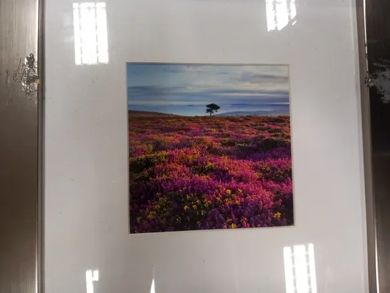 2 ASSORTED FRAMED PHOTOGRAPHS TO INCLUDE; THORNEYTHWIATE FARM, BORROWDALE, CUMBRIA AND BEACON HILL