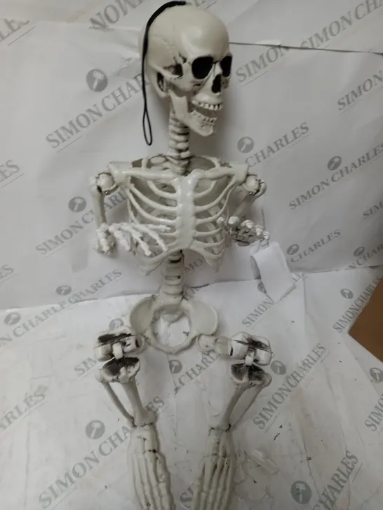 BOXED SKELETON HALLOWEEN DECORATION