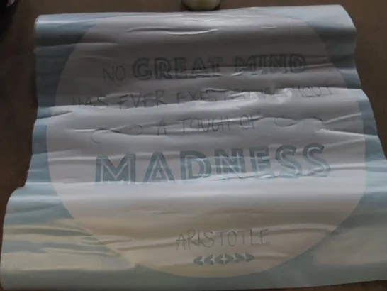 BOXED ARISTOTLE NO GREAT MIND HAS EVER EXISTED WITHOUT A TOUCH OF MADNESS SICKER (1 ITEM)