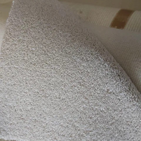 ROLL OF QUALITY DIMENSIONS PLAINS CARPET APPROXIMATELY 5M × 2.48M