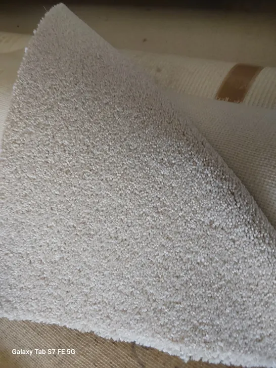 ROLL OF QUALITY DIMENSIONS PLAINS CARPET APPROXIMATELY 5M × 2.48M