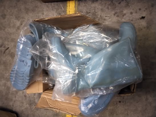BOX OF 6 ASSORTED SKY BLUE WELLIES