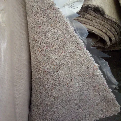 ROLL OF QUALITY VARIETY TRAILS CARPET 6*4M