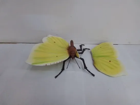 BOXED BUTTERFLY WALL DECORATION