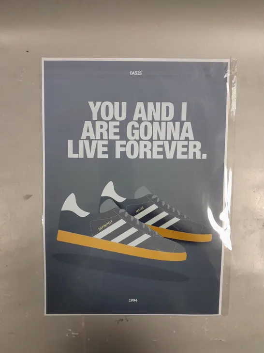 DEFINITELY MAYBE OASIS INSPIRED ADIDAS GAZELLE PRINT PITCH AND PAPER