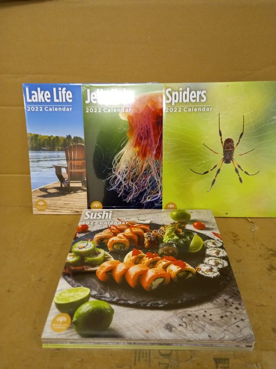 LOT OF 9 SEALED BRIGHT DAY COMPANY 2022 CALENDARS TO INCLUDE LAKE LIFE, JELLYFISH, SPIDERS ETC