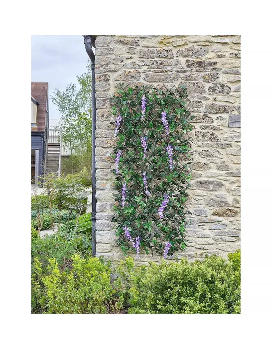 SMART GARDEN WISTERIA EXPANDING TRELLIS 180 X 90CM - COLLECTION ONLY