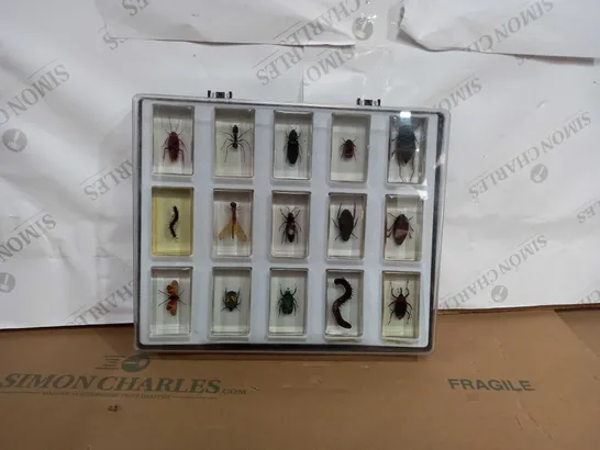 CASE OF APPROXIMATELY 15 ASSOSRTED RESIN ENCASED INSECTS 