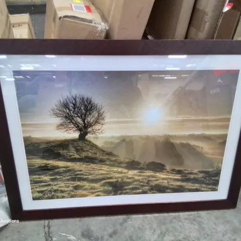 A BOXED SINGLE PICTURE FRAMED ART PRINT