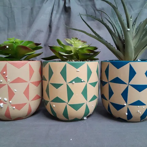 UNBRANDED SET OF 3 PASTIC PLANTS 