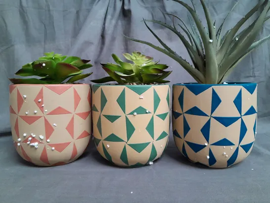 UNBRANDED SET OF 3 PASTIC PLANTS 