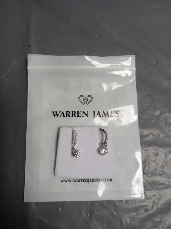 WARREN JAMES SILVER DROP EARRINGS