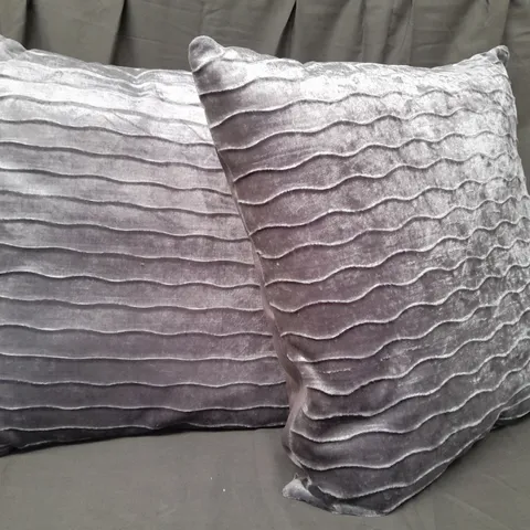 UNBRANDED PAIR OF CUSHIONS IN SILVER