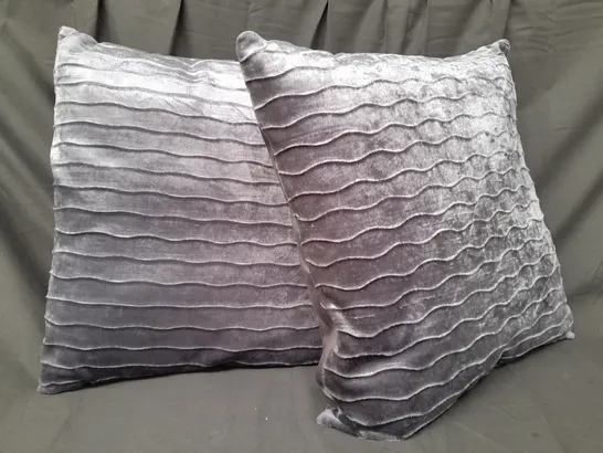 UNBRANDED PAIR OF CUSHIONS IN SILVER