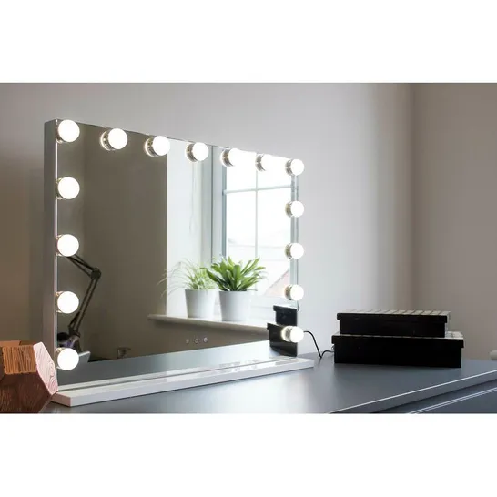 BOXED METRO HOLLYWOOD LANDSCAPE LIGHTED MIRROR WITH FRAMED MOUNTS