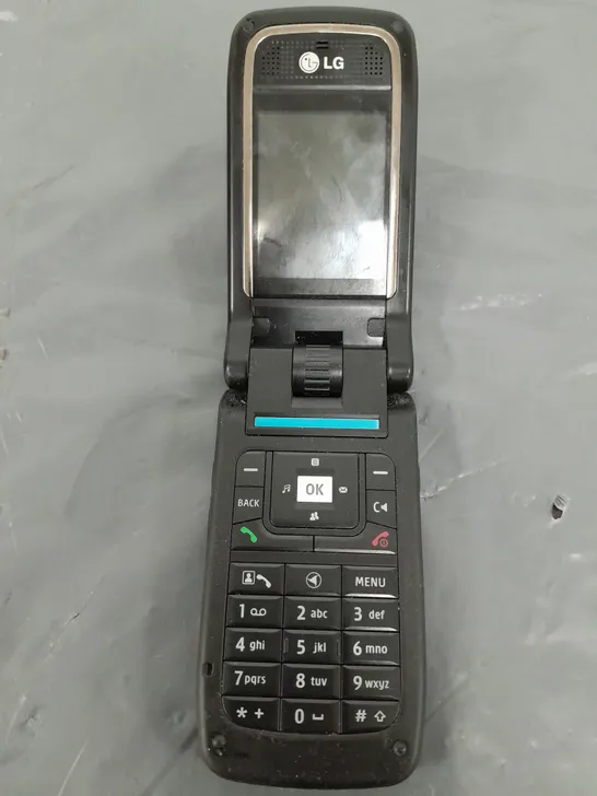 LG FLIP PHONE - MODEL UNSPECIFIED