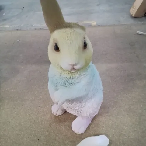 BOXED GARDEN RAINBOW BUNNY 