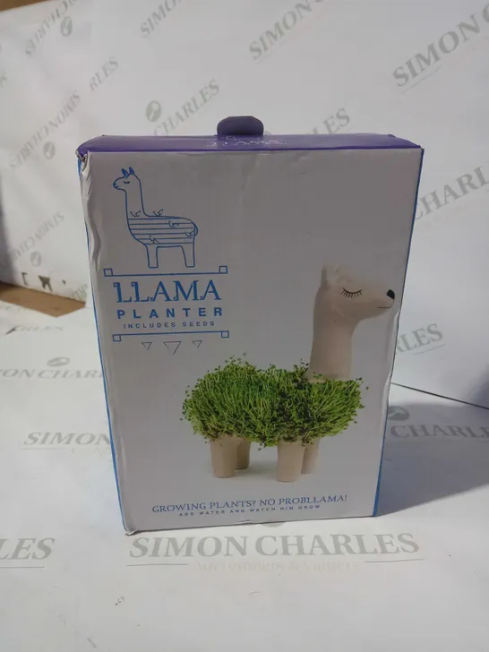 BOXED LLAMA PLANTER