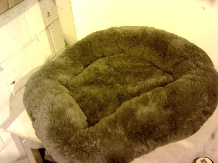 cozee paws sofa pet bed