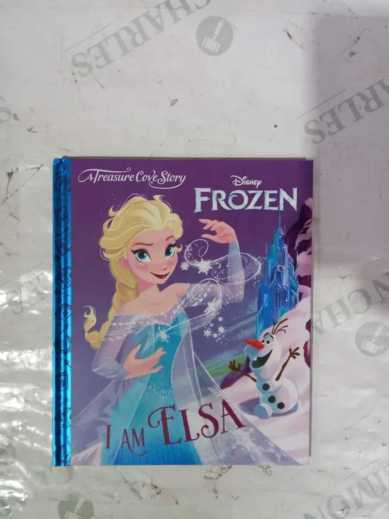 LOT OF APPROXIMATELY 10 TREASURE COVE STORY DISNEY FROZEN I AM ELSA BOOKS