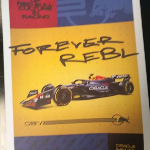 ORACLE RED BULL RACING RB20 FOREVER REBL LARGE DESIGN PRINT