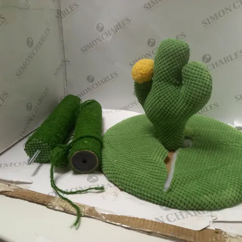 BOXED CACTUS AND YARN