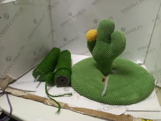 BOXED CACTUS AND YARN