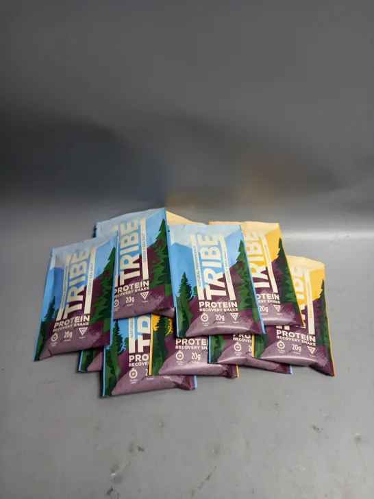 LOT OF 12 X 38G SACHETS OF TRIBE PROTEIN RECOVERY SHAKES. COCOA & SEA SALT AND VANILLA & CINNAMON FLAVOUR