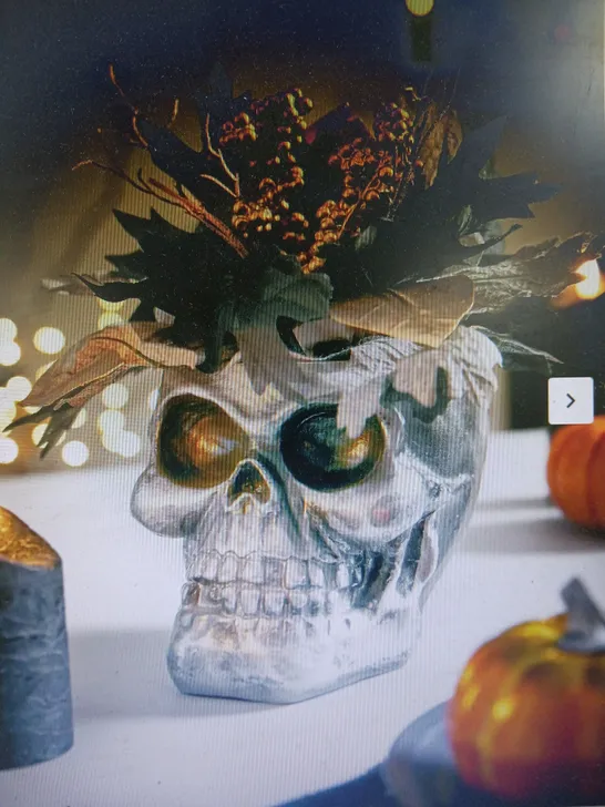 FOLIAGE FILLED SKULL