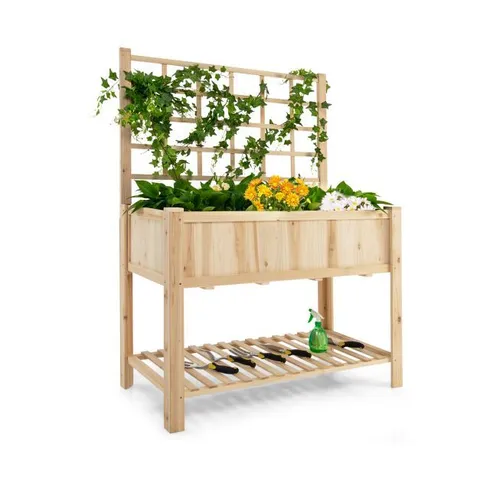 BOXED WOODEN RAISED GARDEN BED WITH TRELLIS FOR CLIMBING PLANT