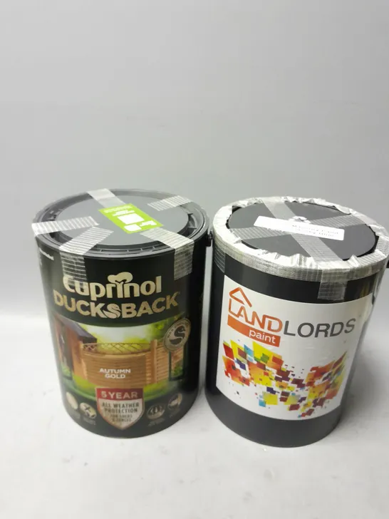 2 5L TUBS OF PAINT TO INCLUDE LANDLORDS MASONRY PAINT IN SKY BLUE, CUPRINOL DUCKSBACK AUTUMN GOLD 5 YEAR WEATHER PROTECT PAINT - COLLECTION ONLY