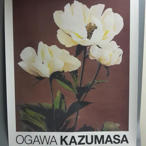 PEONY BY OGAWA KAZUMASA POSTER APPROX 70CMX100CM WITH TUBE