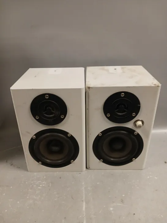 VISION SP-1100P SPEAKERS 