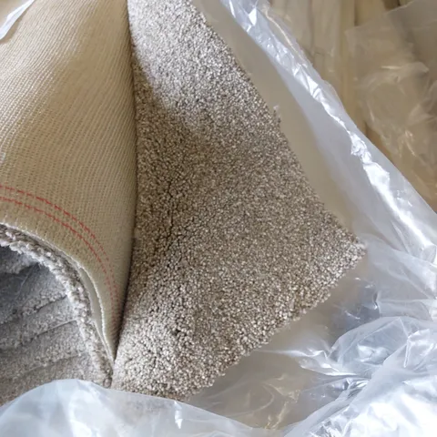 ROLL OF QUALITY FIRST IMPRESSIONS FRESH CARPET // SIZE: APPROX 5 X 5.45m