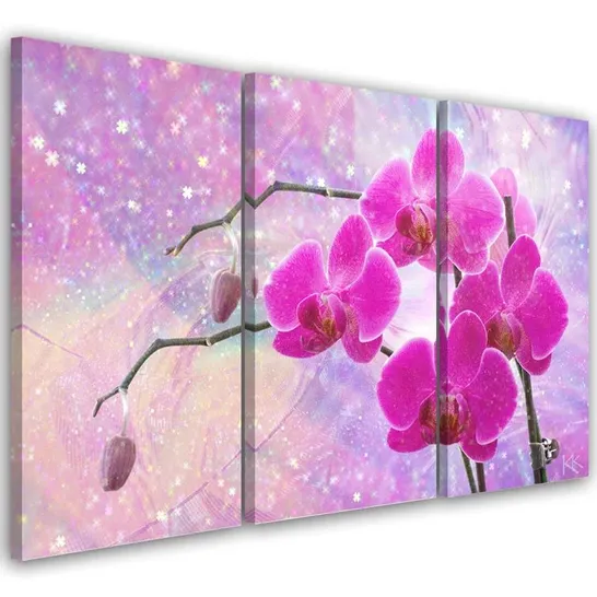 BOXED 3 PIECE WRAPPED CANVAS ART PRINT - ESSENTIAL ORCHID ABSTRACTION (1 BOX)