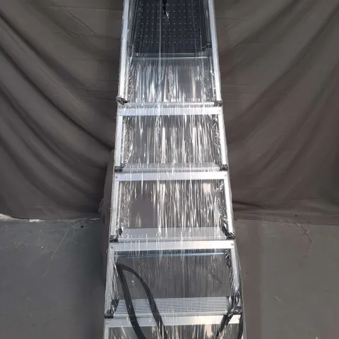 6-STEP ALUMINIUM LADDER IN SILVER