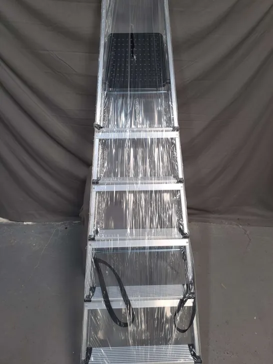 6-STEP ALUMINIUM LADDER IN SILVER