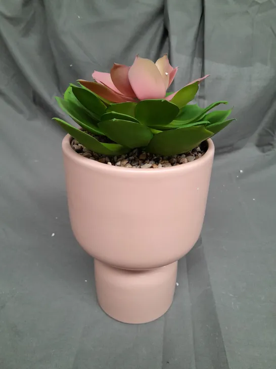 BOXED BUNDLEBERRY BY AMANDA HOLDEN STANDING PLANTER WITH FAUX SUCCULENT