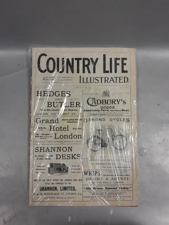 COUNTRY LIFE ILLUSTRATED VINTAGE NEWSPAPER PRINT 