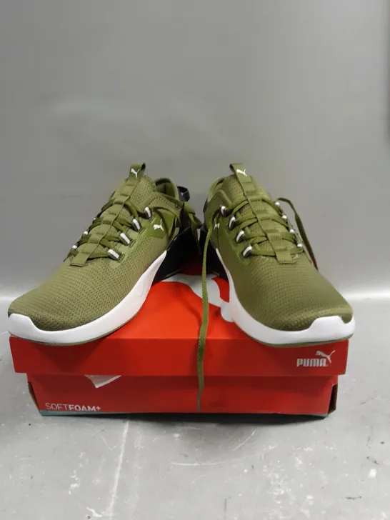 BOXED PAIR OF PUMA TRAINING RETALIATE TRAINERS IN KHAKI - 7