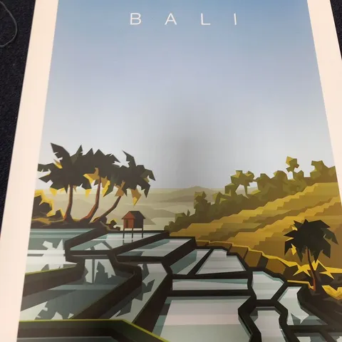 3 ASSORTED PLACE POSTERS TO INCLUDE; BALI, SWITZERLAND AND ICELAND