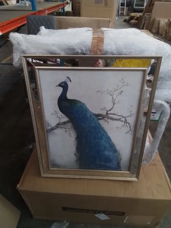 BOXED PEACOCK II FRAMED GRAPHIC ART PRINT 